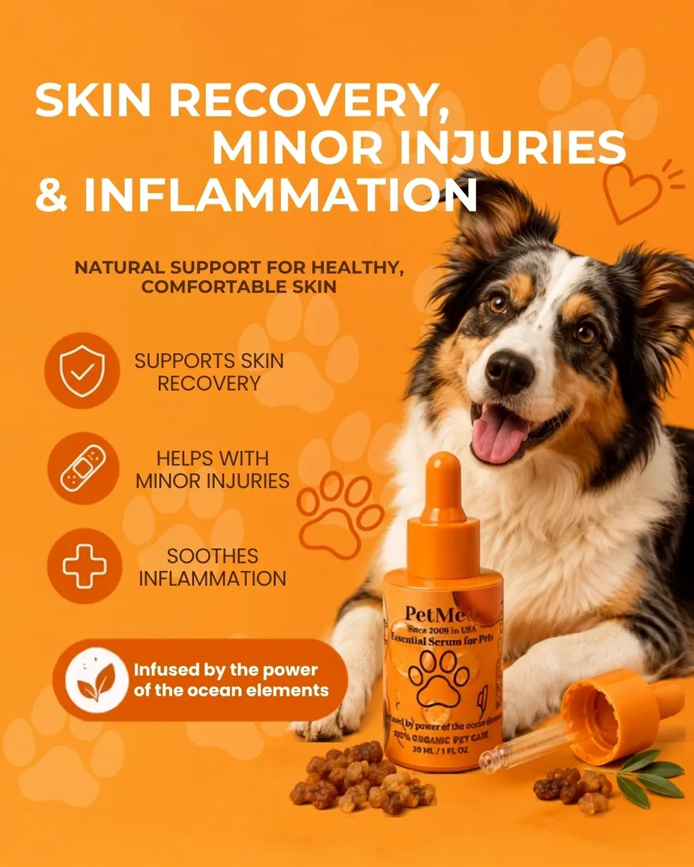 Recovery & Mobility Oil - Image 2